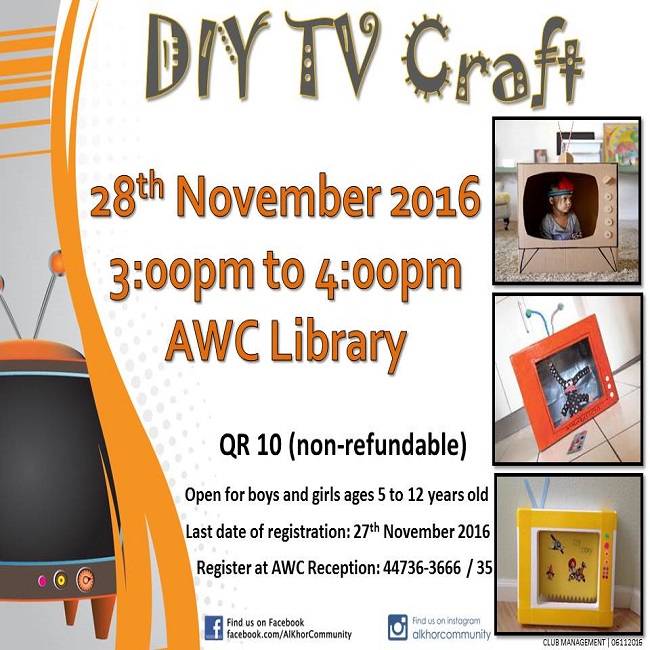 DIY TV Craft